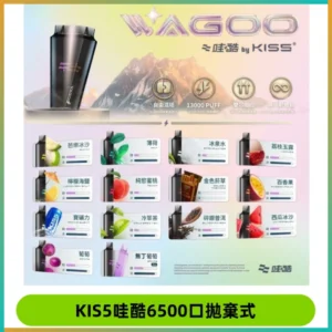 KIS5WAGOO哇酷6500口拋棄式 | 自由混搭雙口味 | 雙芯組合
