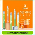XIAOKE梟客7500Puffs跑馬燈拋棄式電子煙 可發光一次性