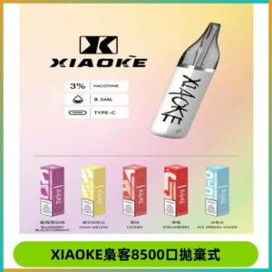 梟客XIAOKE8500口拋棄式一次性電子煙 口紅款高顏值設計