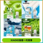 XIAOKE梟客一代煙彈 替換式霧化電子煙 通用 RELX 悅刻一代主機